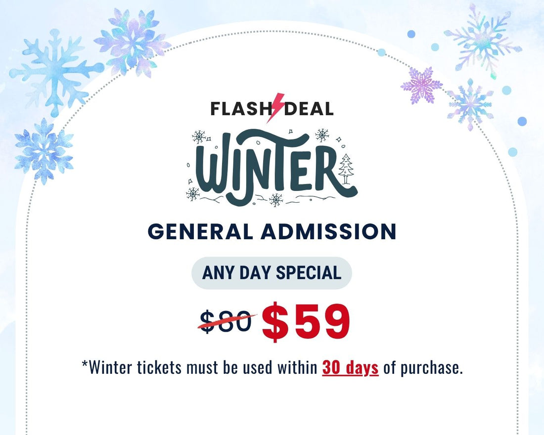 Winter FLASH DEAL – Any Day General Admission