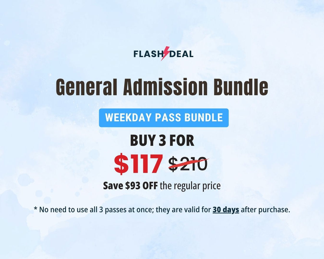 Winter Special FLASH DEAL – 3 Weekday Passes Only General Admission