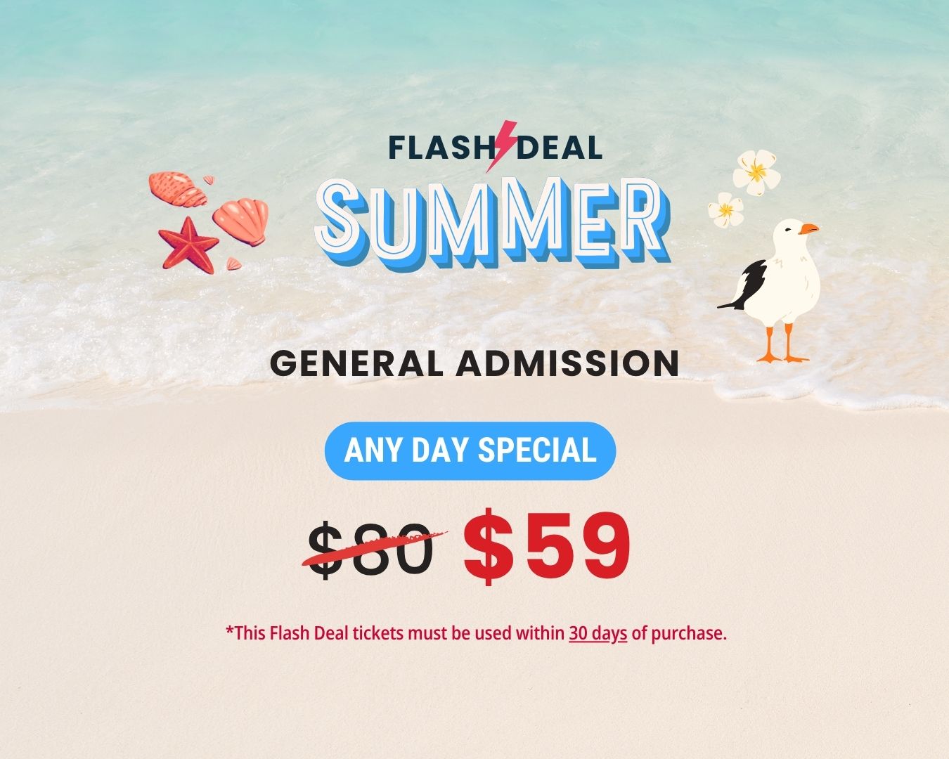 Summer FLASH DEAL – Any Day General Admission