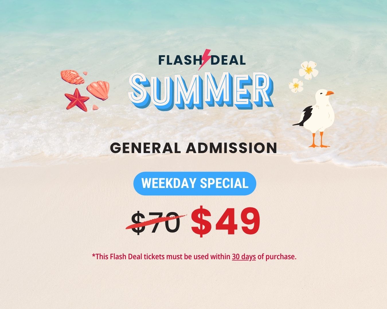 Summer FLASH DEAL – Weekday Only General Admission