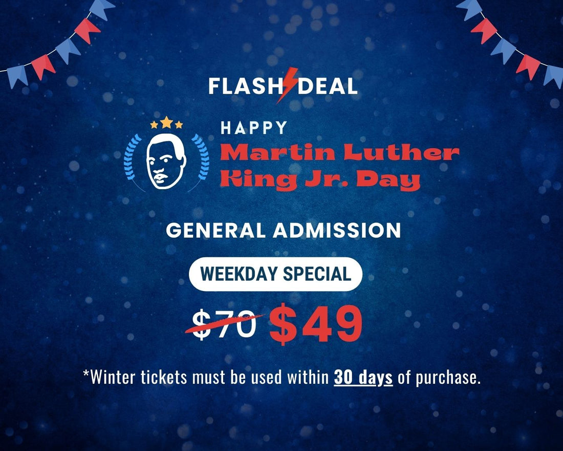 Martin Luther King FLASH DEAL – Weekday Only General Admission