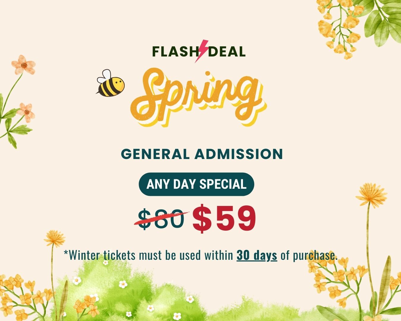Spring FLASH DEAL – Any Day General Admission