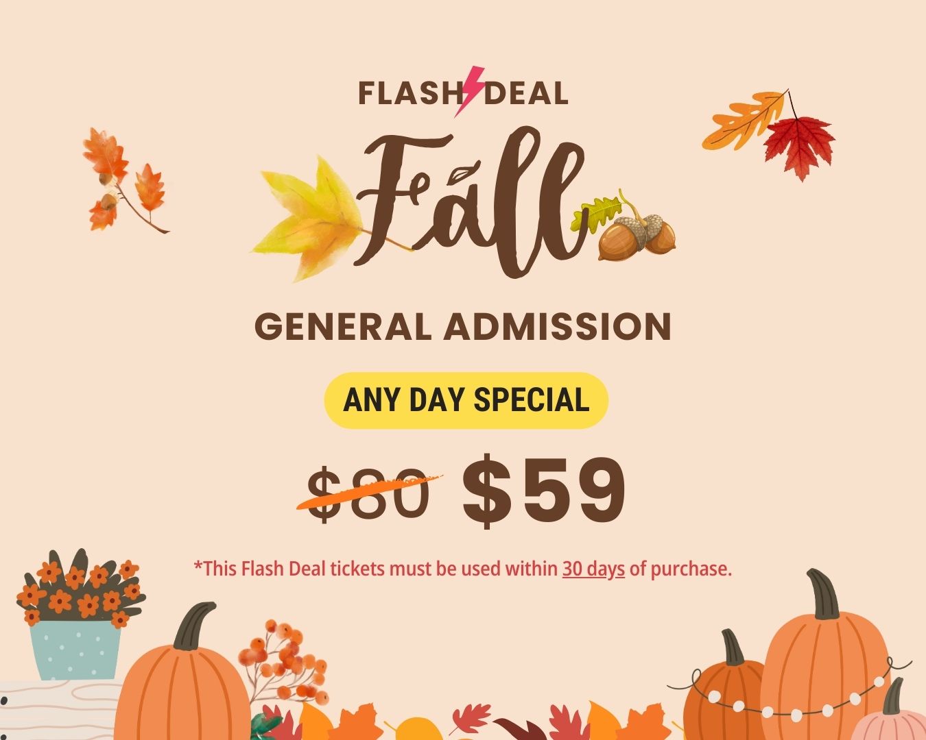 Fall FLASH DEAL – Any Day General Admission