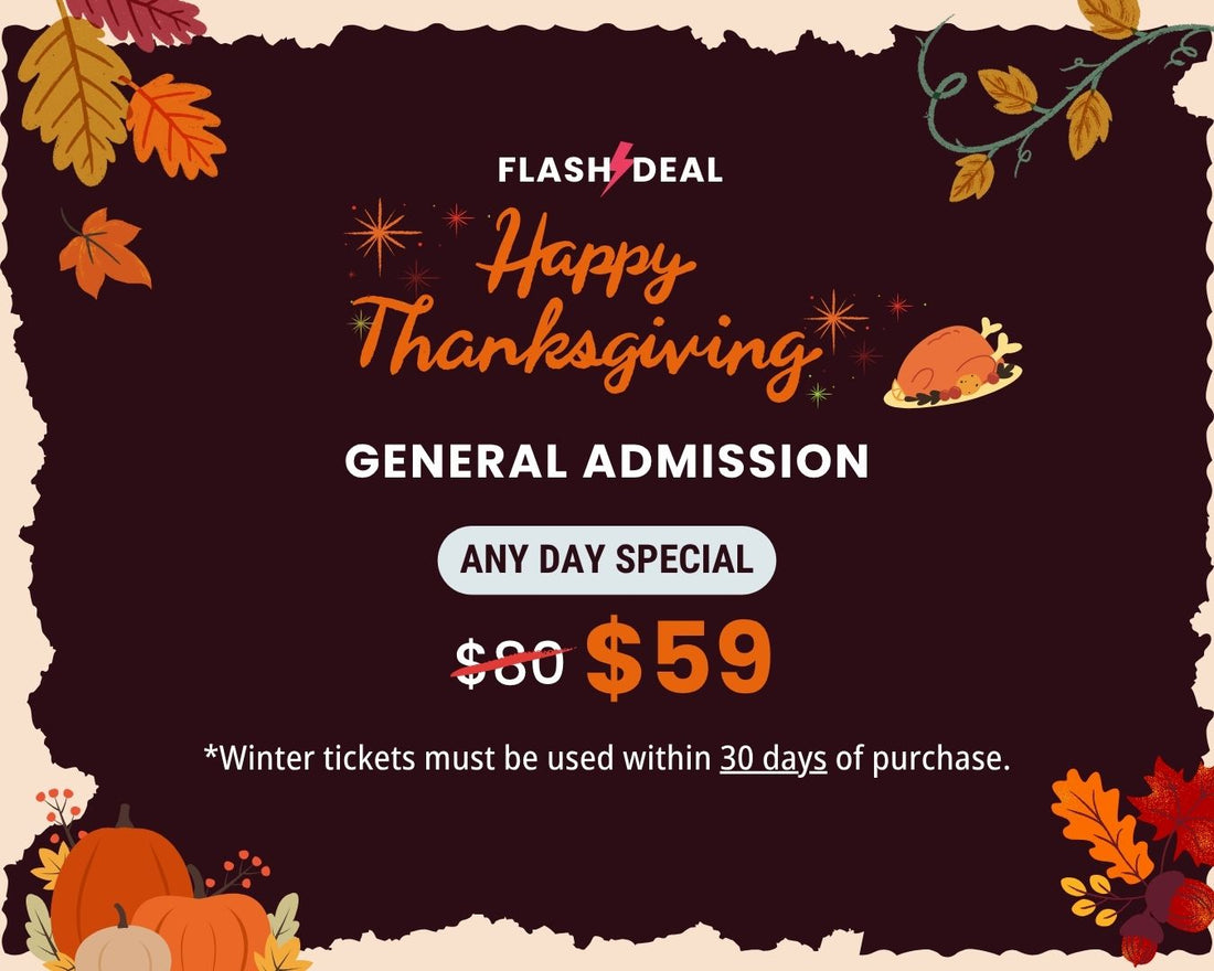 THANKSGIVING FLASH DEAL – Any Day General Admission
