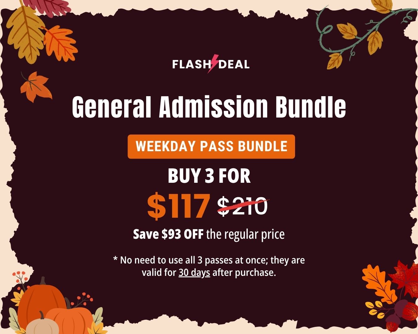 THANKSGIVING FLASH DEAL – 3 Weekday Passes Only General Admission