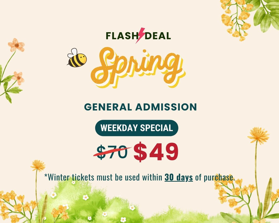 Spring FLASH DEAL – Weekday Only General Admission