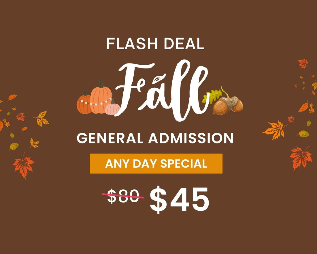 Fall FLASH DEAL – Any Day General Admission