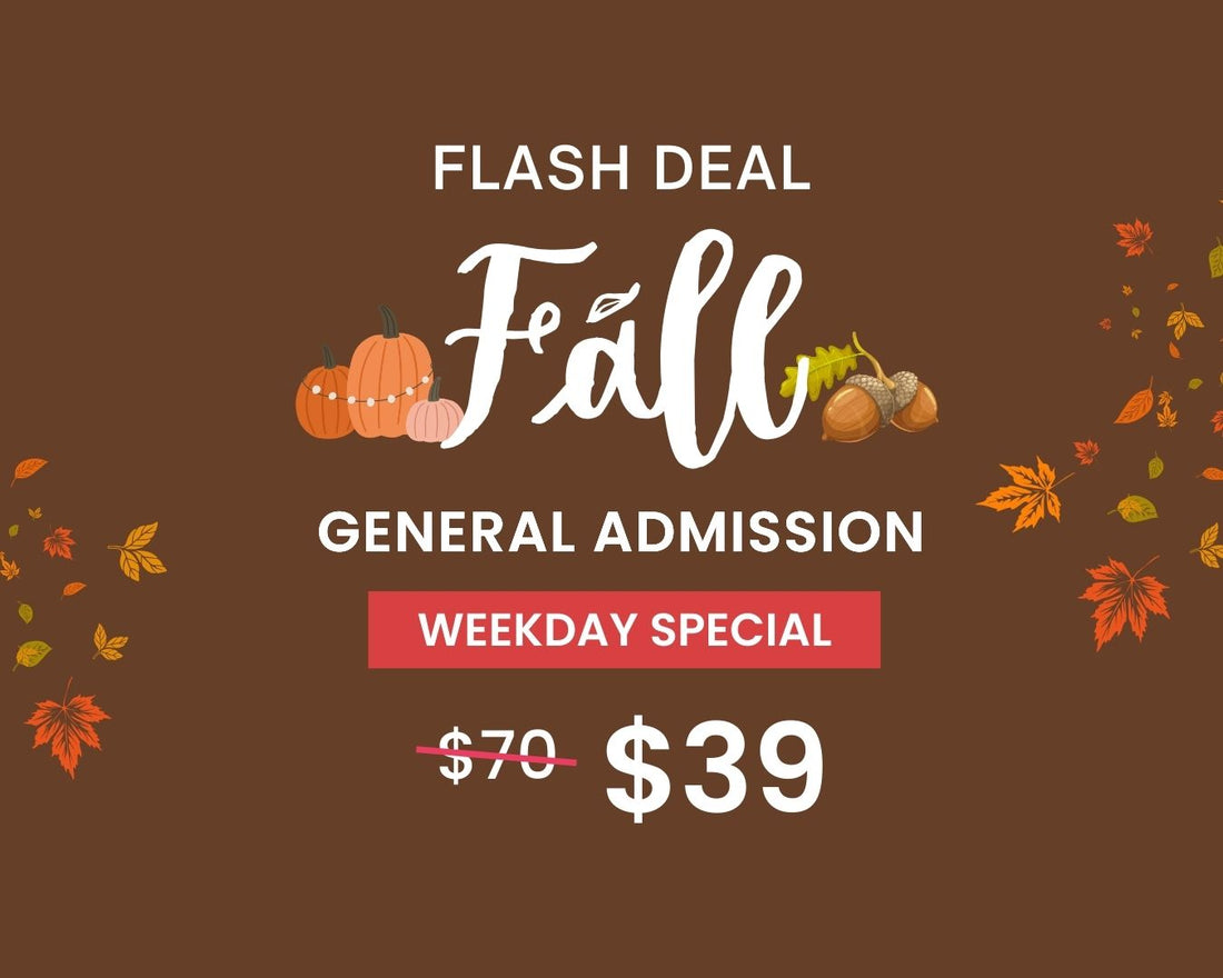 Fall FLASH DEAL – Weekday Only General Admission