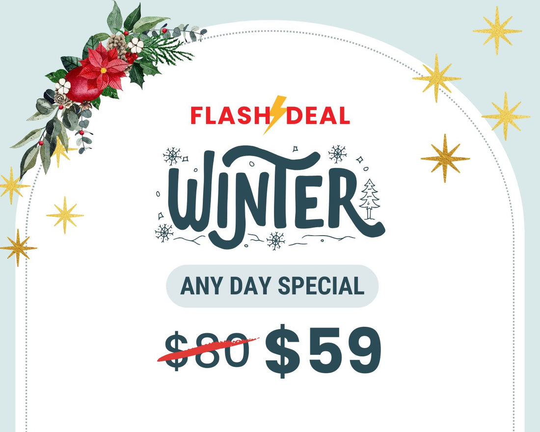 Winter FLASH DEAL – Any Day General Admission