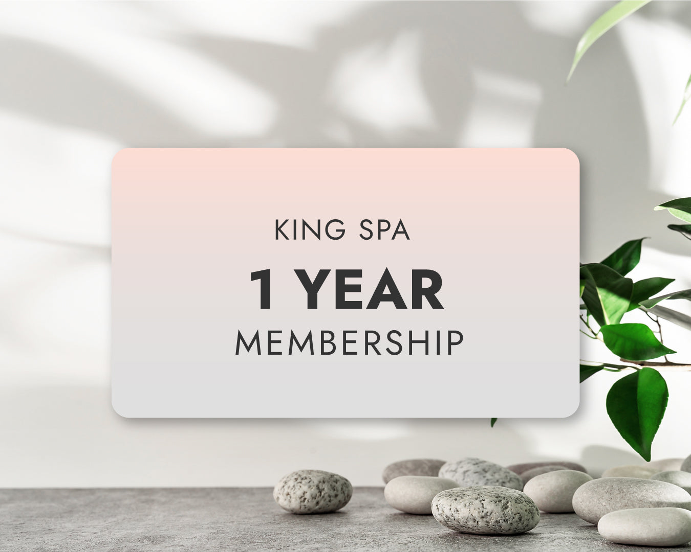 1 Year Membership