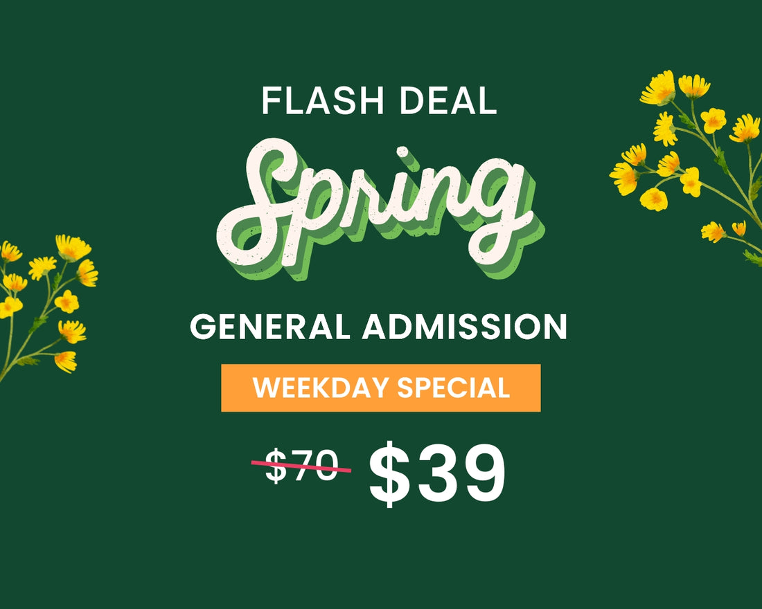Spring FLASH DEAL – Weekday Only General Admission